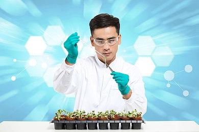 免费桌面放置休闲游戏《邦戈猫》正式推出收获好评如潮